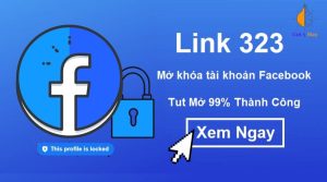 link 323